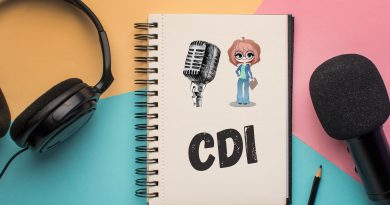 CDI : 1er article radio